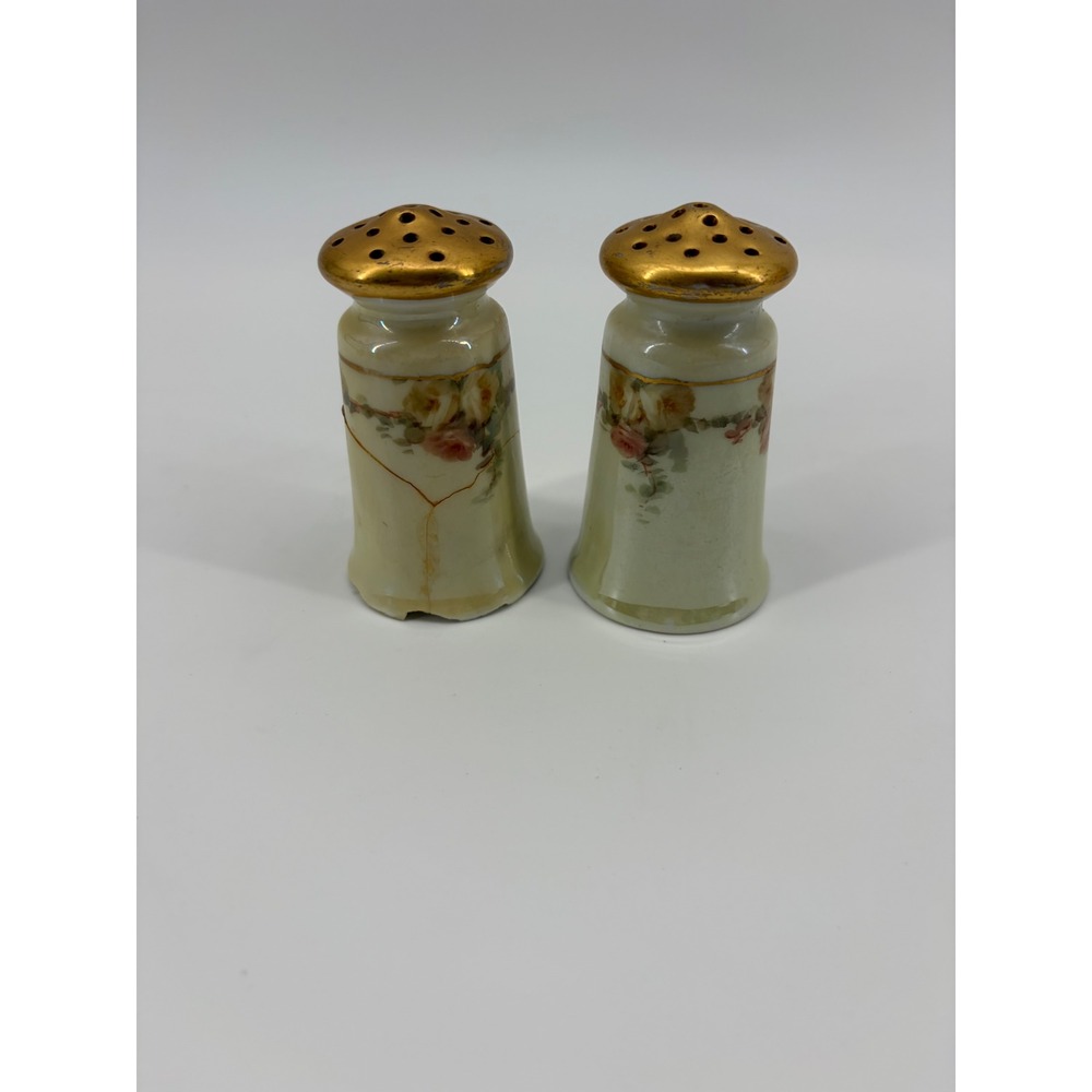 O.&E.G. Royal Austria Salt Pepper Shakers Vintage Floral Gold Porcelain Set